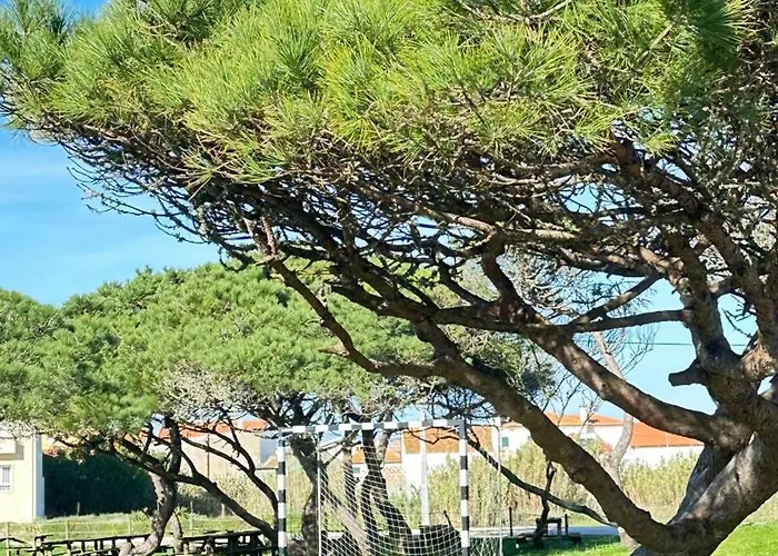 Casa Sol E Mar By Em Figueira *